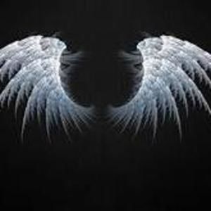 Meet your Posher, Jane